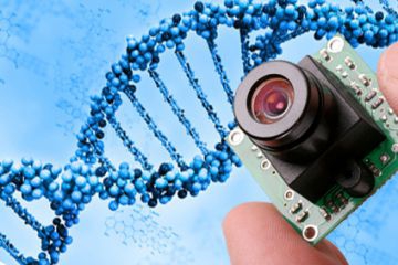 Industrie und Gewerbe